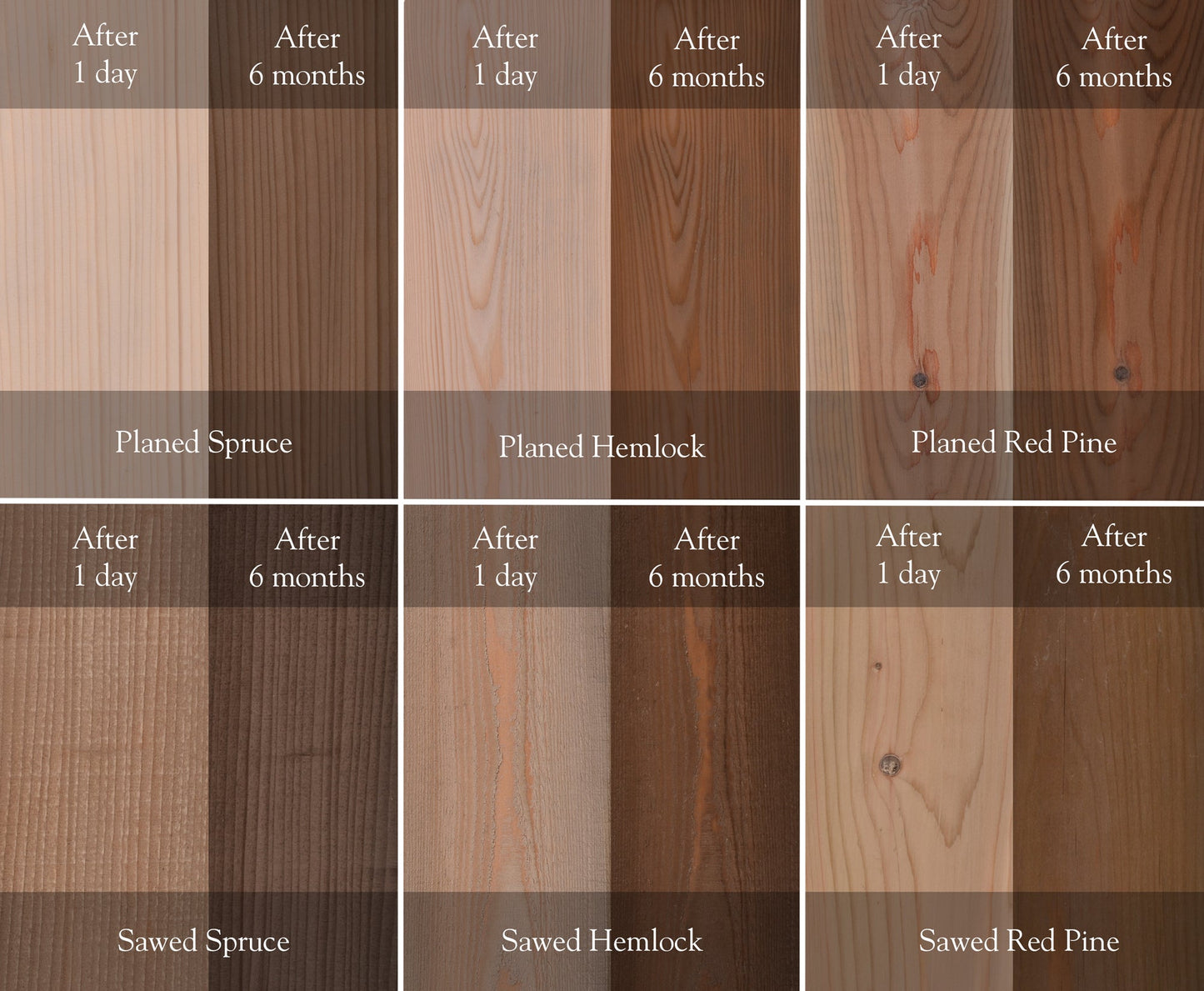 LifeTime Wood Treatment 1 Gallon